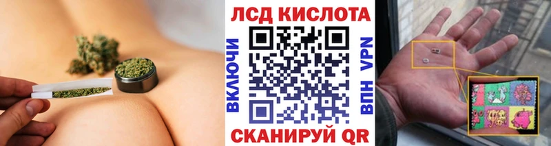 как найти   Богородицк  Марки NBOMe 1500мкг 