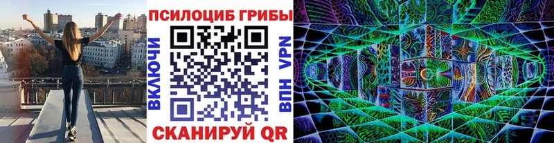 купить  цена  Богородицк  Галлюциногенные грибы Cubensis 